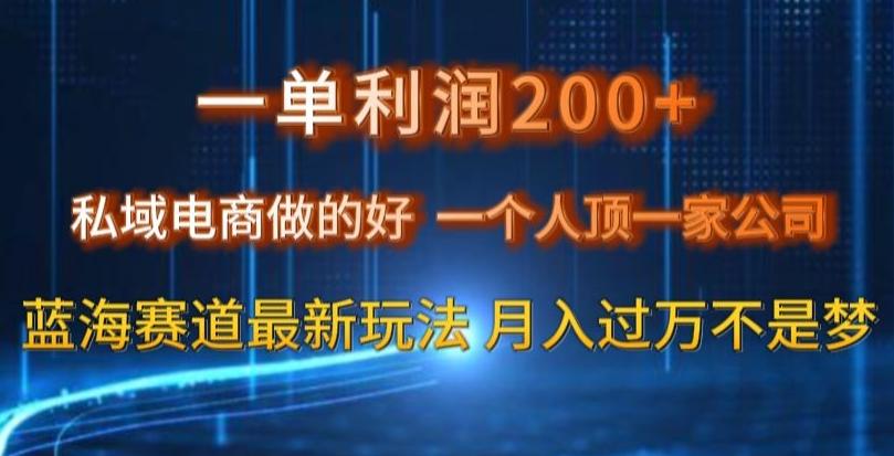 一单利润200私域电商做的好，一个人顶一家公司蓝海赛道最新玩法【揭秘】-雲鼎文化传媒