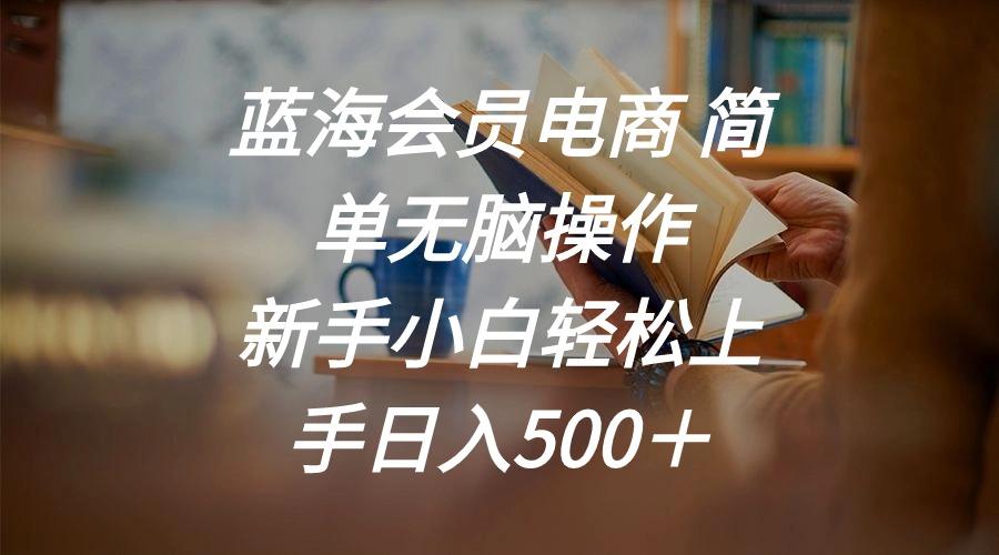 蓝海会员电商 简单无脑操作 新手小白轻松上手日入500＋-雲鼎文化传媒