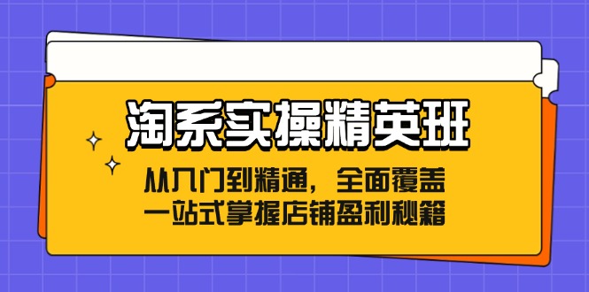 淘系实操精英班：从入门到精通，全面覆盖，一站式掌握店铺盈利秘籍-雲鼎文化传媒