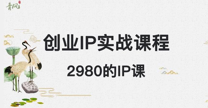 外边卖2980的创业IP课程，做私域月入5w+-雲鼎文化传媒