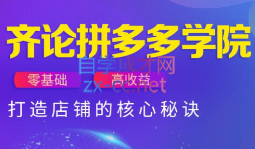 齐论拼多多vip课程-雲鼎文化传媒