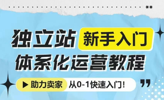 独立站新手入门体系化运营教程，助力独立站卖家从0-1快速入门!-雲鼎文化传媒