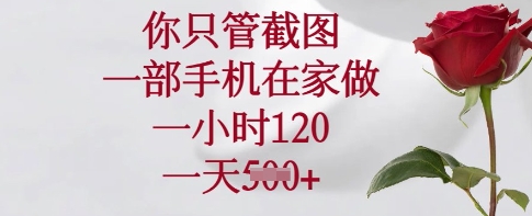你只管截图，一部手机在家做，一小时120.一天5张【揭秘】-雲鼎文化传媒