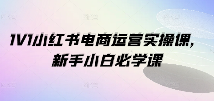 1V1小红书电商运营实操课，新手小白必学课-雲鼎文化传媒