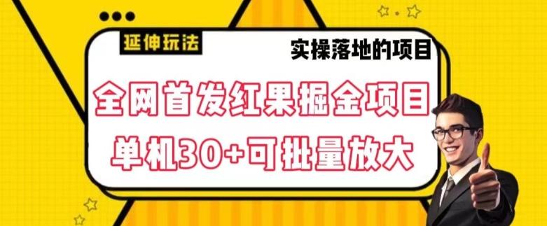 全网首发红果免费短剧掘金项目，单机30+可批量放大【揭秘】-雲鼎文化传媒