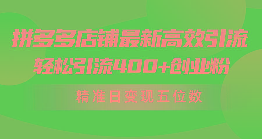 (10041期)拼多多店铺最新高效引流术，轻松引流400+创业粉，精准日变现五位数！-雲鼎文化传媒