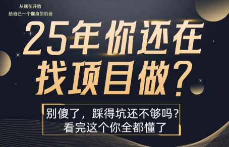 25年，你还在疯狂的找项目吗？别傻了，看完这个你都懂了【揭秘】-雲鼎文化传媒