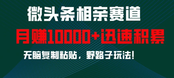 微头条相亲赛道，迅速积累，无脑复制粘贴，野路子玩法，月入1w-雲鼎文化传媒