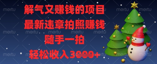解气又挣钱的项目，最新违章拍照挣钱，随手一拍，轻松收入数张【揭秘】-雲鼎文化传媒