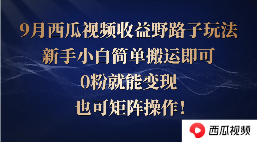 西瓜视频收益野路子玩法，新手小白简单搬运即可，0粉就能变现，也可矩…-雲鼎文化传媒
