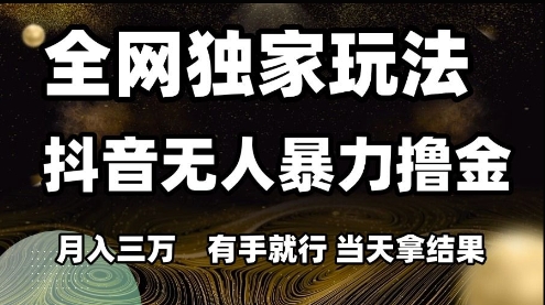 全网独家玩法抖音无人暴力撸金，月入3W，有手就行，当天拿结果【揭秘】-雲鼎文化传媒