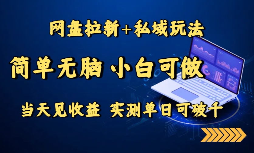 网盘拉新+私域玩法，简单无脑，小白可做，当天见收益，实测单日可破千-雲鼎文化传媒