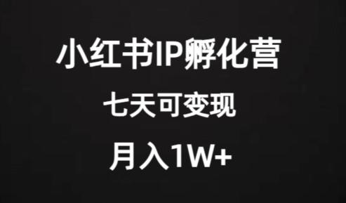 价值2000+的小红书IP孵化营项目，超级大蓝海，七天即可开始变现，稳定月入1W+-雲鼎文化传媒
