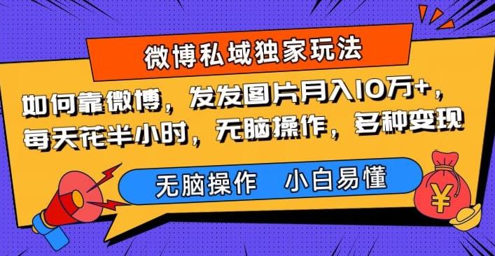 如何靠微博，发发图片月入10万+，‌每天花半小时，无脑操作，多种变现-雲鼎文化传媒