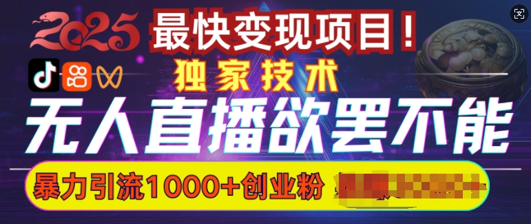 欲罢不能的无人直播引流，超暴力日引流1000+高质量精准创业粉-雲鼎文化传媒