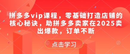 拼多多vip课程，零基础打造店铺的核心秘诀，助拼多多卖家在2025卖出爆款，订单不断-雲鼎文化传媒