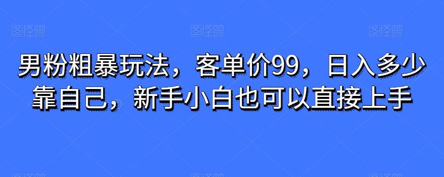 男粉粗暴玩法，客单价99，日入多少靠自己，新手小白也可以直接上手-雲鼎文化传媒