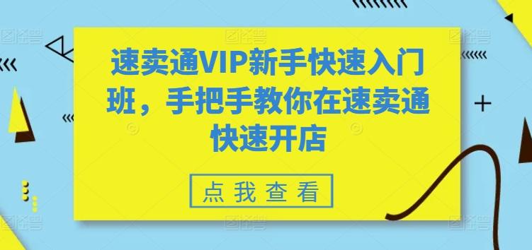 速卖通VIP新手快速入门班，手把手教你在速卖通快速开店-雲鼎文化传媒