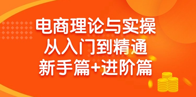 (9576期)电商理论与实操从入门到精通 新手篇+进阶篇-雲鼎文化传媒