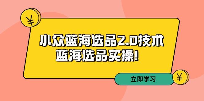 拼多多培训第33期：小众蓝海选品2.0技术-蓝海选品实操！-雲鼎文化传媒