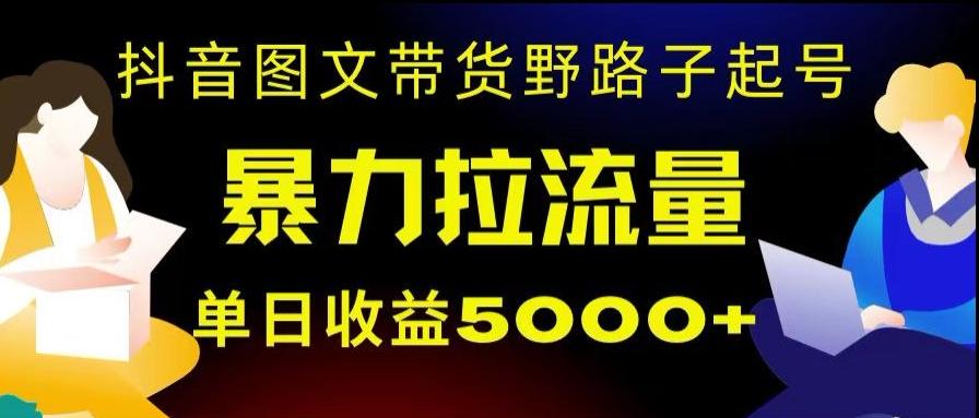 抖音图文带货暴力起号，单日收益5000+，野路子玩法，简单易上手，一部手机即可【揭秘】-雲鼎文化传媒