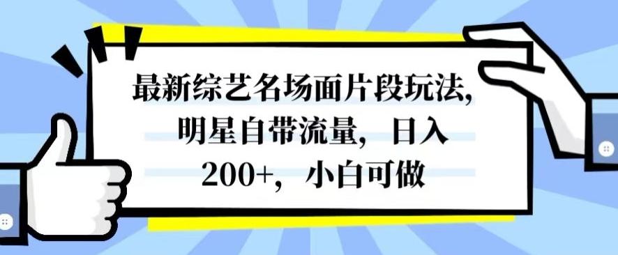 最新综艺名场面片段玩法，明星自带流量，日入200+，小白可做【揭秘】-雲鼎文化传媒