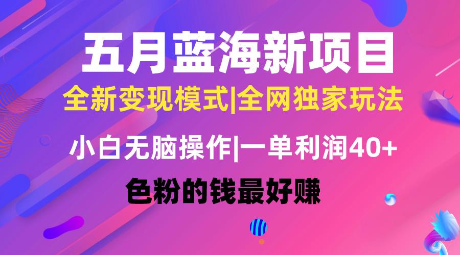 五月蓝海项目全新玩法，小白无脑操作，一天几分钟，矩阵操作，月入4万+-雲鼎文化传媒
