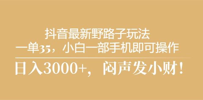 抖音最新野路子玩法，一单35，小白一部手机即可操作，，日入3000+，闷…-雲鼎文化传媒