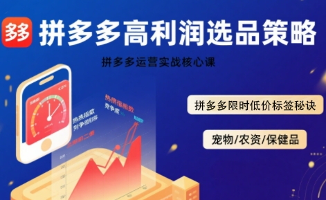 拼多多选品暴利技术实战课，拼多多高利润选品策略，拼多多限时低价标签秘诀-雲鼎文化传媒