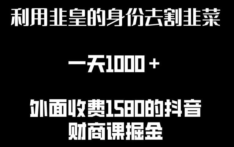 利用非皇的身份去割韭菜，一天1000+(附详细资源)【揭秘】-雲鼎文化传媒