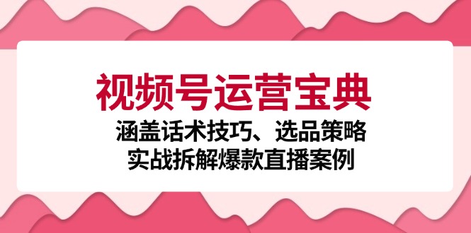 视频号运营宝典：涵盖话术技巧、选品策略、实战拆解爆款直播案例-雲鼎文化传媒