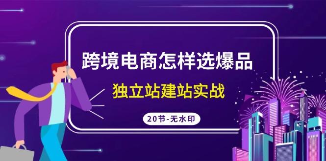 (9369期)跨境电商怎样选爆品，独立站建站实战(20节高清无水印课)-雲鼎文化传媒