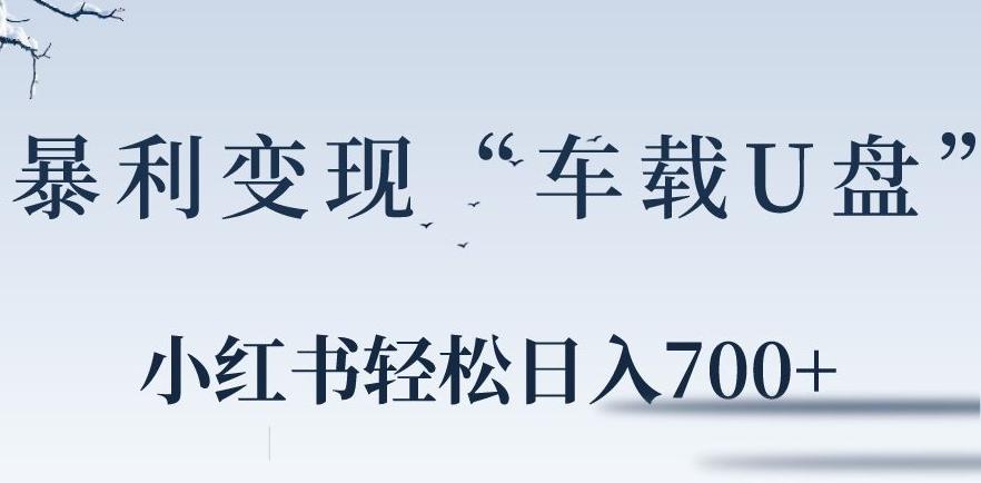 小红书“车载U盘”暴利引流，日入700+-雲鼎文化传媒