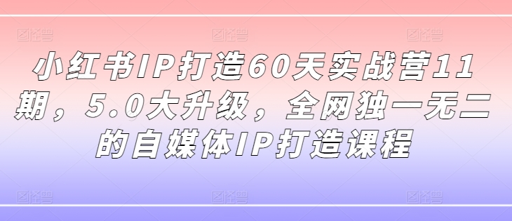 小红书IP打造60天实战营11期，5.0大升级，全网独一无二的自媒体IP打造课程-雲鼎文化传媒