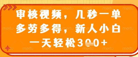 审核视频，几秒一单，多劳多得，新人小白一天轻松3张【揭秘】-雲鼎文化传媒