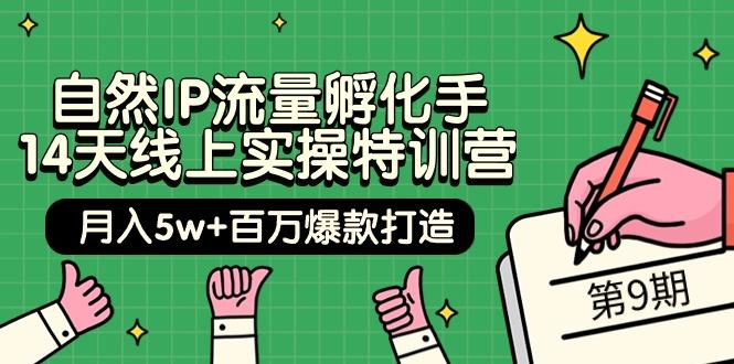 (9881期)自然IP流量孵化手 14天线上实操特训营【第9期】月入5w+百万爆款打造 (74节)-雲鼎文化传媒