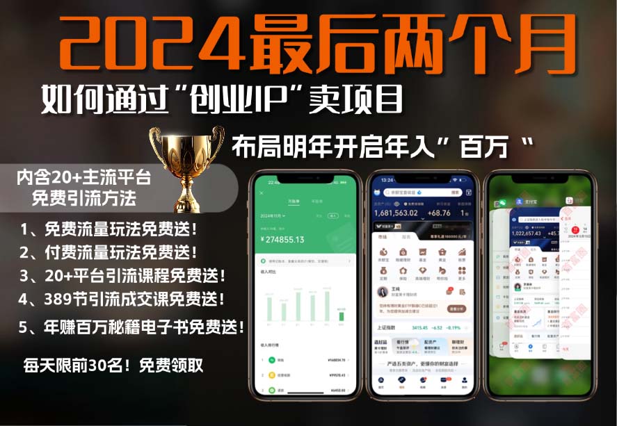 2024最后两个月如何通过”创业IP“卖项目年入”百万“,创业IP+最强引流…-雲鼎文化传媒