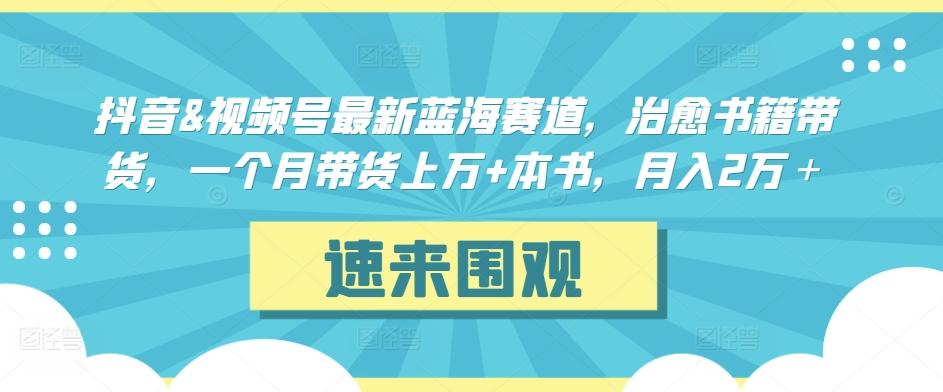 抖音&视频号最新蓝海赛道，治愈书籍带货，一个月带货上万+本书，月入2万＋【揭秘】-雲鼎文化传媒