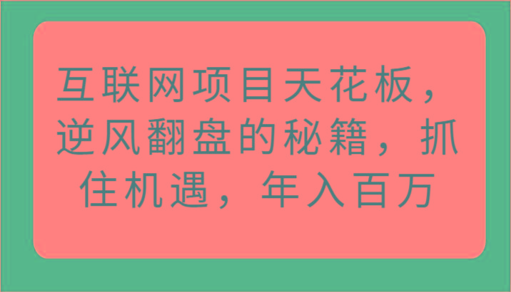 互联网项目天花板，逆风翻盘的秘籍，抓住机遇，年入百万-雲鼎文化传媒