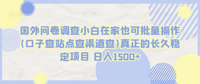 国外问卷调查小白在家也可批量操作(口子查站点查渠道查)真正的长久稳定项目 日入1500+【揭秘】-雲鼎文化传媒