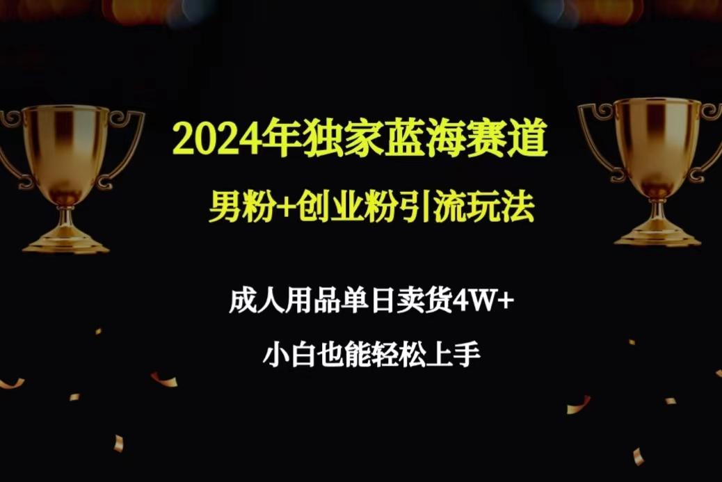2024年独家蓝海赛道男粉+创业粉引流玩法，成人用品单日卖货4W+保姆教程-雲鼎文化传媒