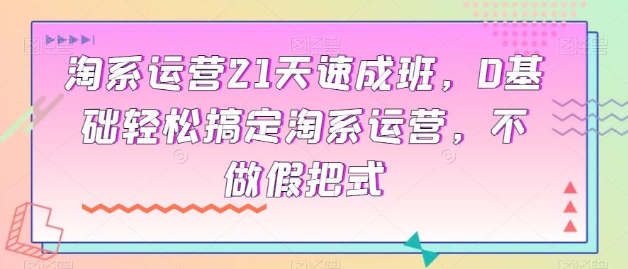 淘系运营21天速成班，0基础轻松搞定淘系运营，不做假把式-雲鼎文化传媒