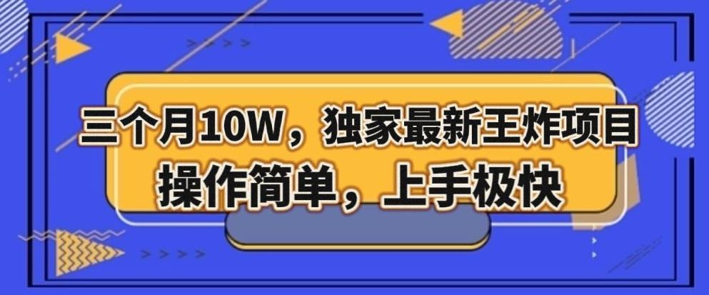三个月10W，独家最新王炸项目！操作简单，上手极快【揭秘】-雲鼎文化传媒