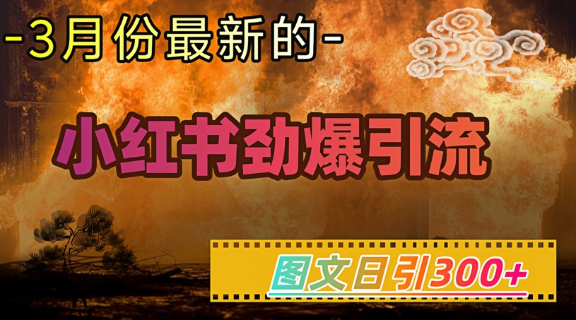 小红书超劲爆引流手段，图文日引300+轻松变现1W-雲鼎文化传媒