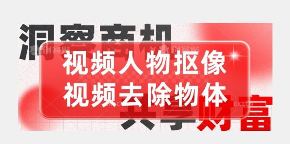【超强视频处理工具】视频人物抠像+视频去除物体-雲鼎文化传媒