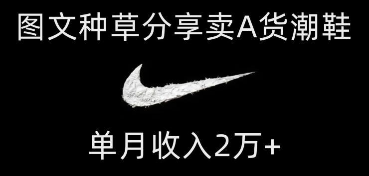 靠图文种草分享卖A货潮鞋，每天一小时，单月收入2万+【揭秘】-雲鼎文化传媒