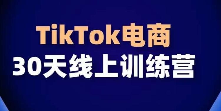 TikTok电商带货30天线上课，不可错过的全球流量洼地！-雲鼎文化传媒