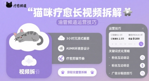 猫咪疗愈长视频拆解 &油管频道运营技巧-雲鼎文化传媒