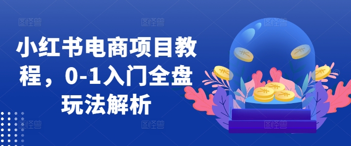 小红书电商项目教程，0-1入门全盘玩法解析-雲鼎文化传媒