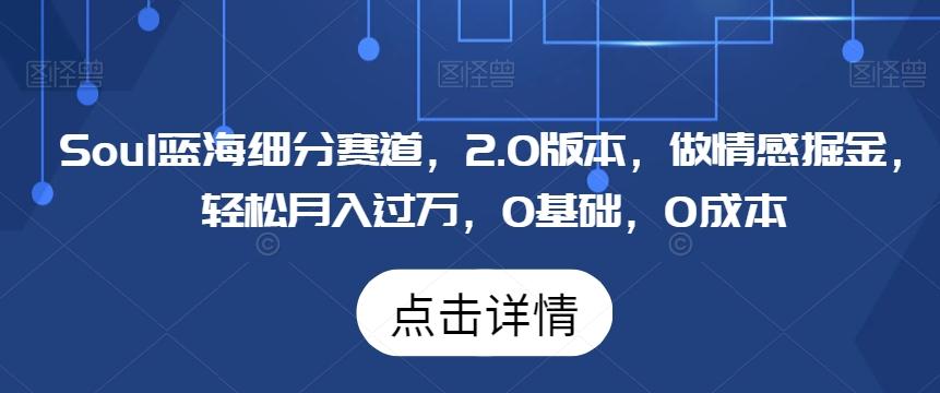 Soul蓝海细分赛道，2.0版本，做情感掘金，轻松月入过万，0基础，0成本-雲鼎文化传媒